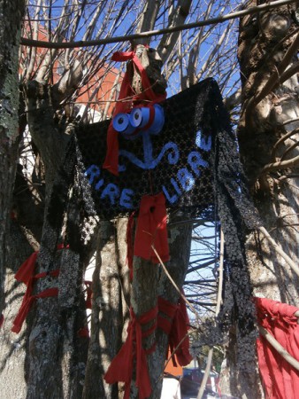 5 Mars 2015 - Début de l'habillage